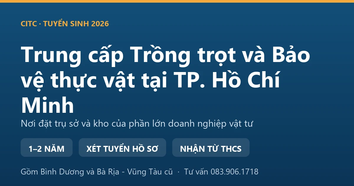 Học viên trung cấp Trồng trọt và Bảo vệ thực vật tại TP. Hồ Chí Minh thực hành trong nhà lưới trồng rau