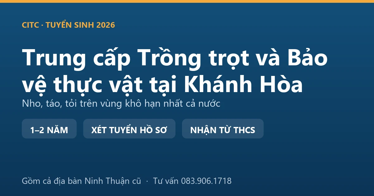 Học viên trung cấp Trồng trọt và Bảo vệ thực vật tại Khánh Hòa kiểm tra giàn nho tại vùng khô hạn
