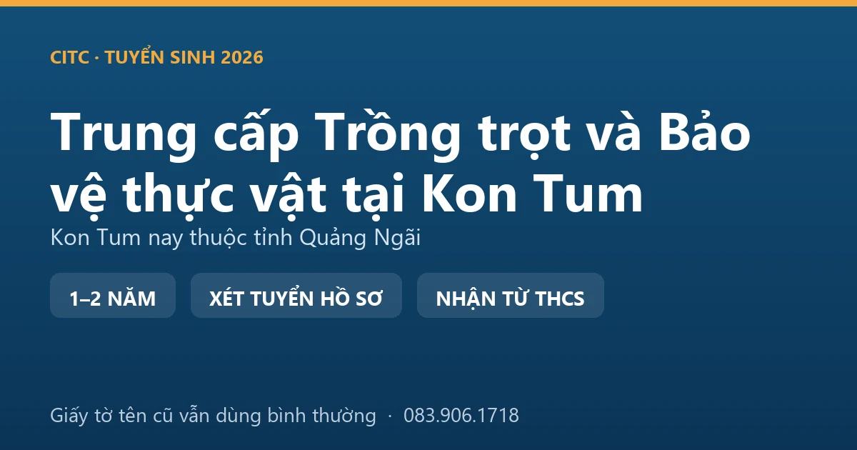 Người trồng dược liệu tại địa bàn Kon Tum cũ kiểm tra luống cây dưới tán rừng