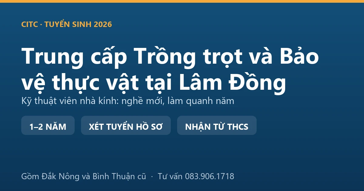 Học viên trung cấp Trồng trọt và Bảo vệ thực vật tại Lâm Đồng thực hành trong nhà kính trồng rau công nghệ cao