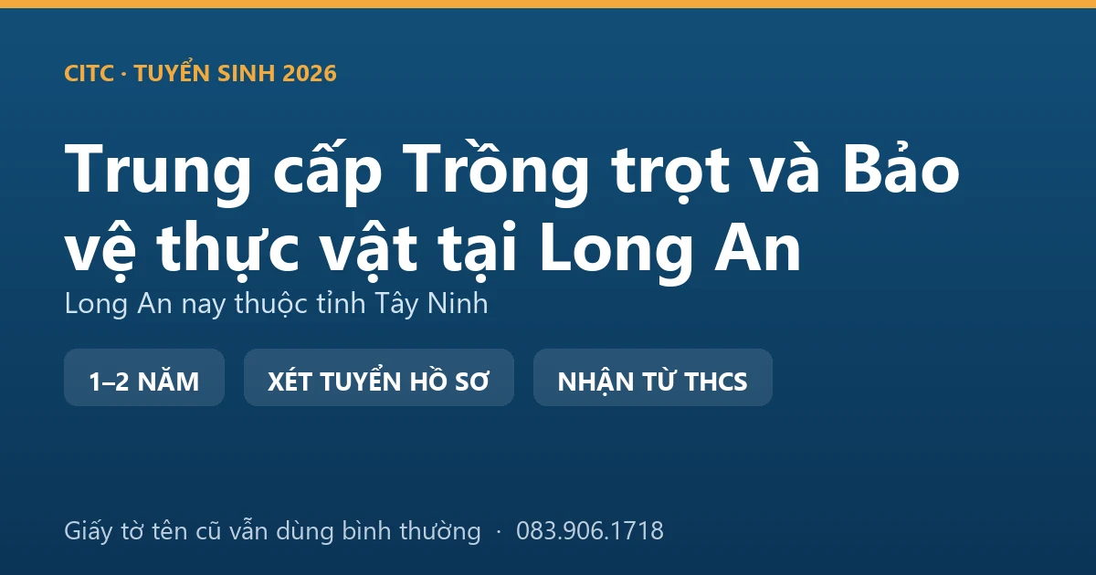 Người trồng rau tại địa bàn Long An cũ thu hoạch rau ăn lá cung cấp cho thị trường thành phố