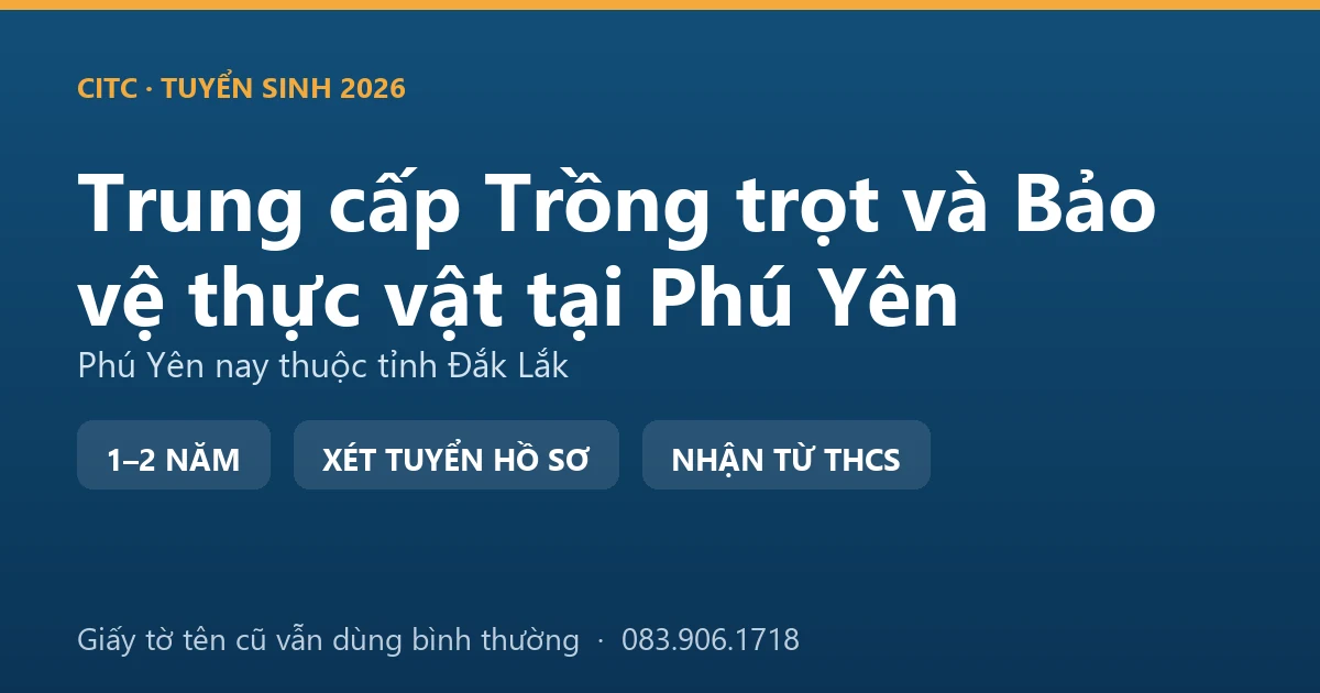 Người canh tác tại địa bàn Phú Yên cũ thăm ruộng mía nguyên liệu vùng duyên hải