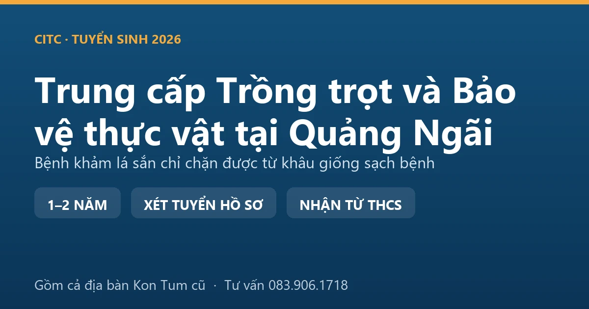Học viên trung cấp Trồng trọt và Bảo vệ thực vật tại Quảng Ngãi kiểm tra triệu chứng khảm lá trên ruộng sắn