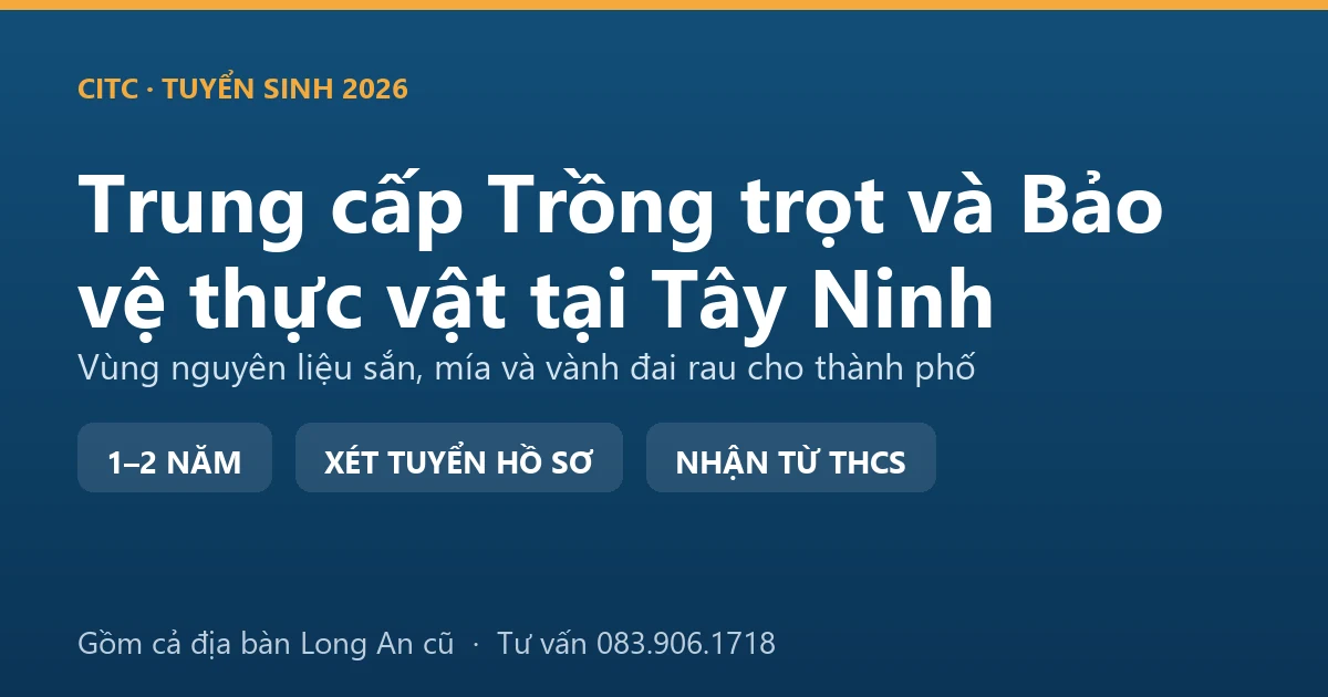 Học viên trung cấp Trồng trọt và Bảo vệ thực vật tại Tây Ninh kiểm tra ruộng sắn vùng nguyên liệu