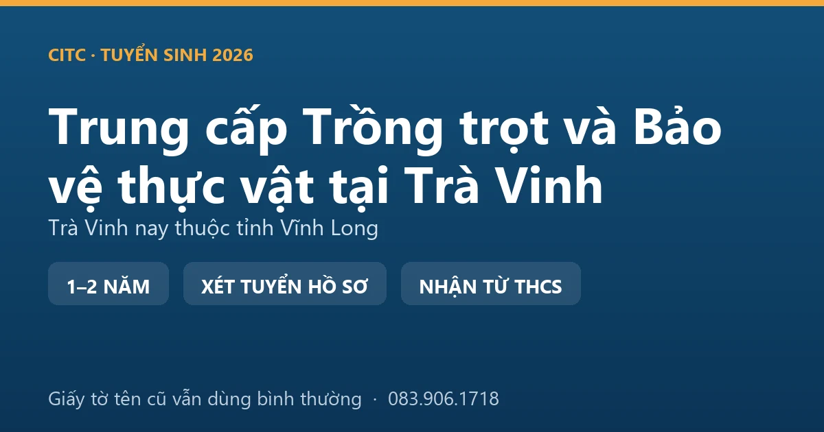 Người canh tác tại địa bàn Trà Vinh cũ trồng rau màu trên đất giồng cát ven biển