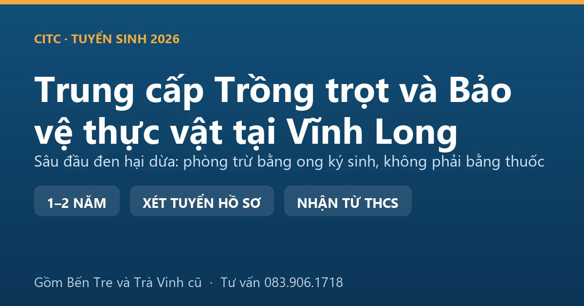 Học viên trung cấp Trồng trọt và Bảo vệ thực vật tại Vĩnh Long kiểm tra sâu đầu đen trên vườn dừa